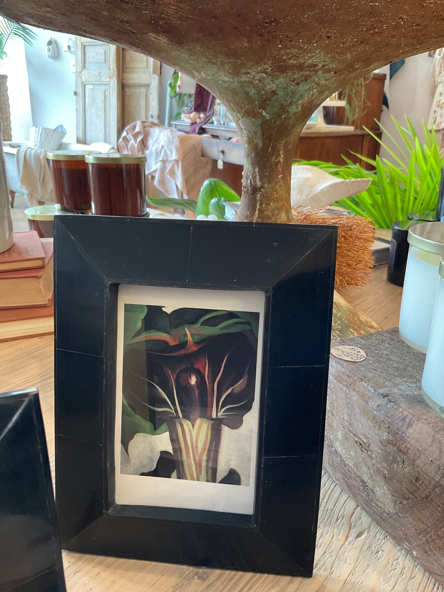 4X6" Horn Wide Frame