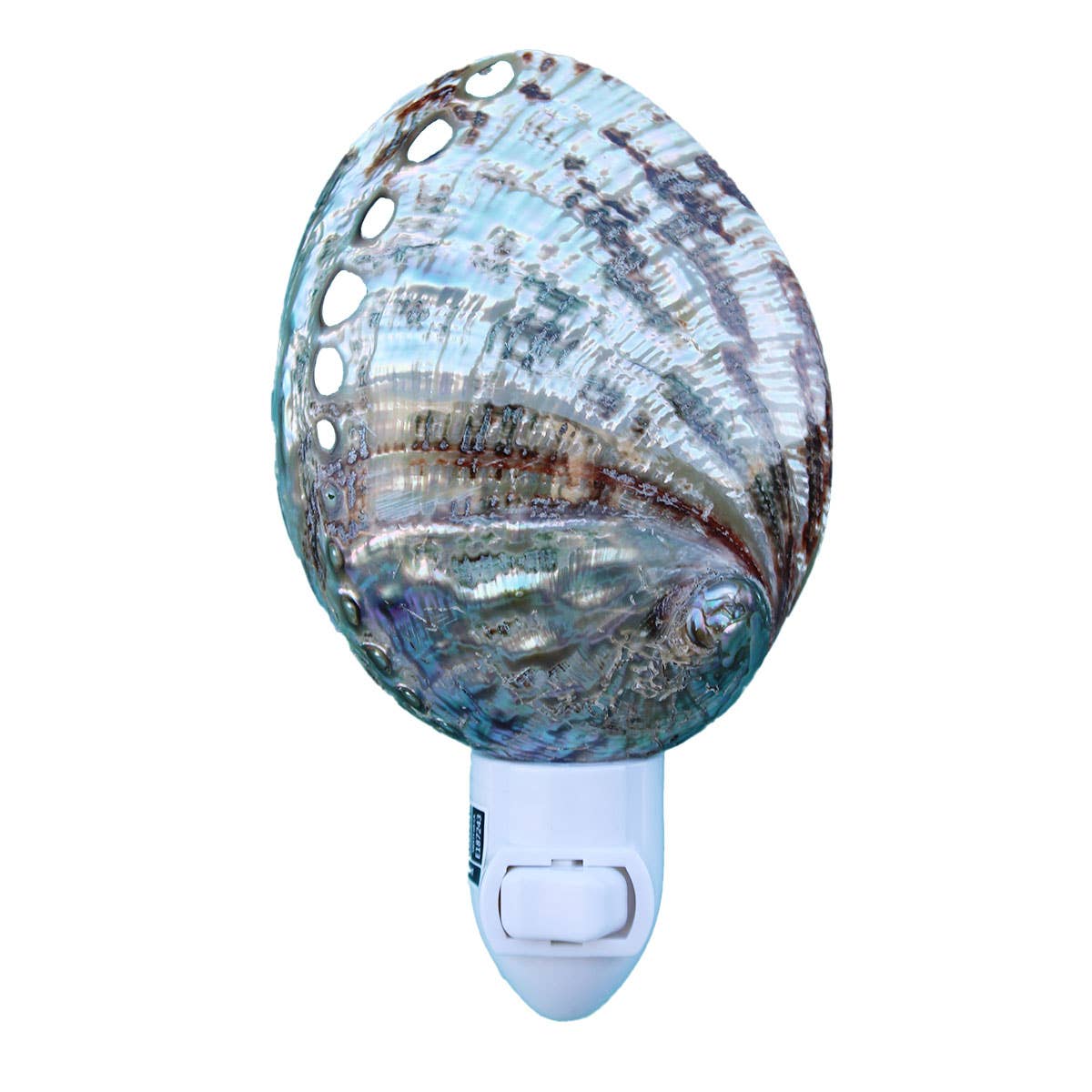 Polished Green Abalone Seashell Night Light: 2.75"-3.25"