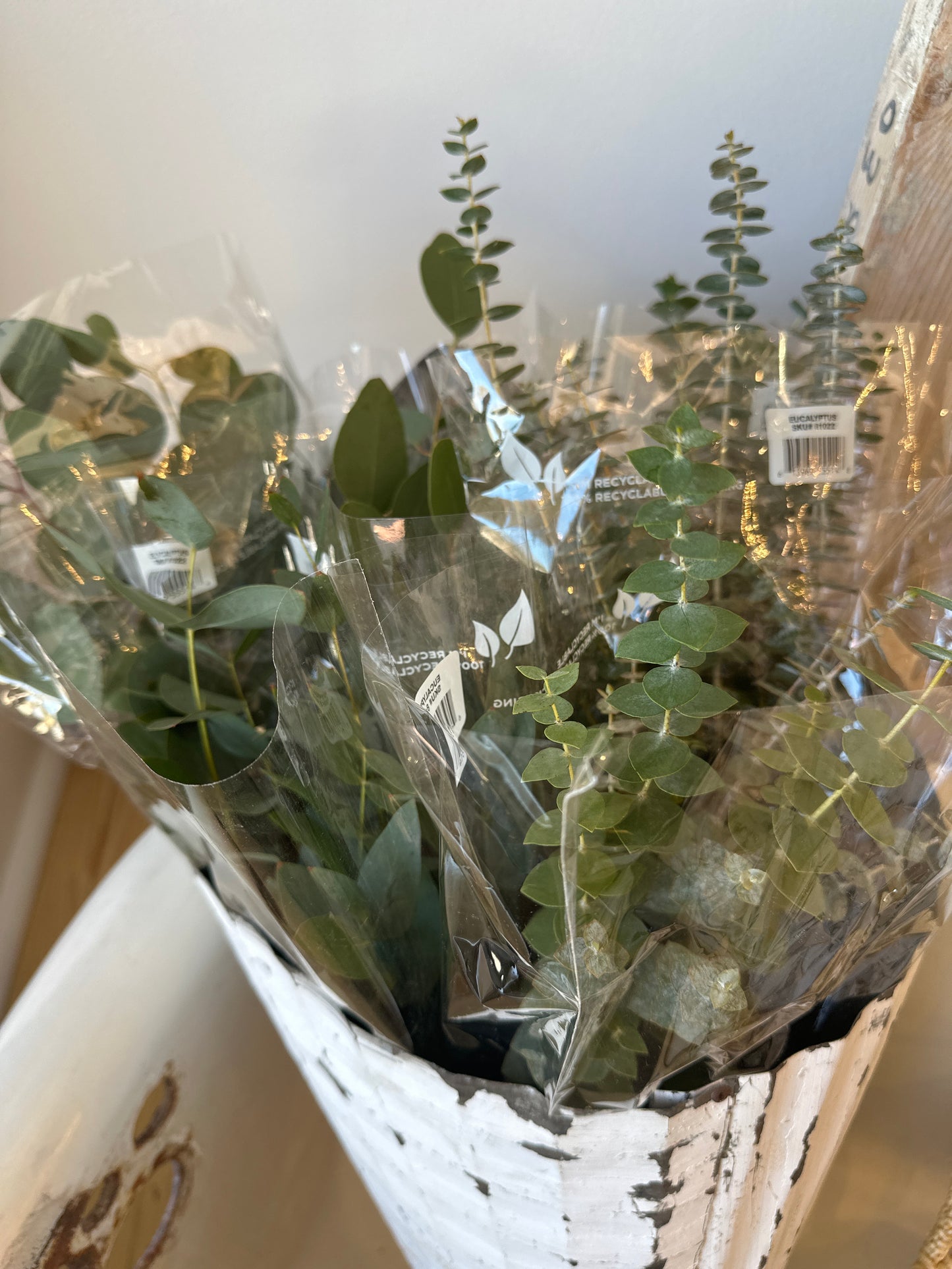 Dried Eucalyptus bunch