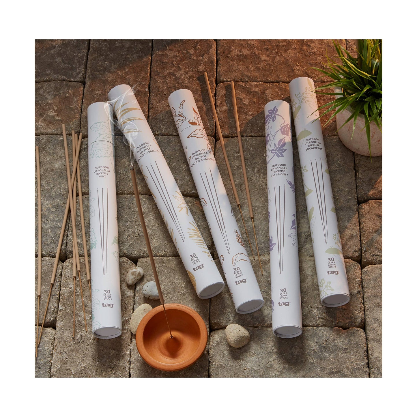 Eucalyptus & Citro Incense Sticks Set of 30 - Multi