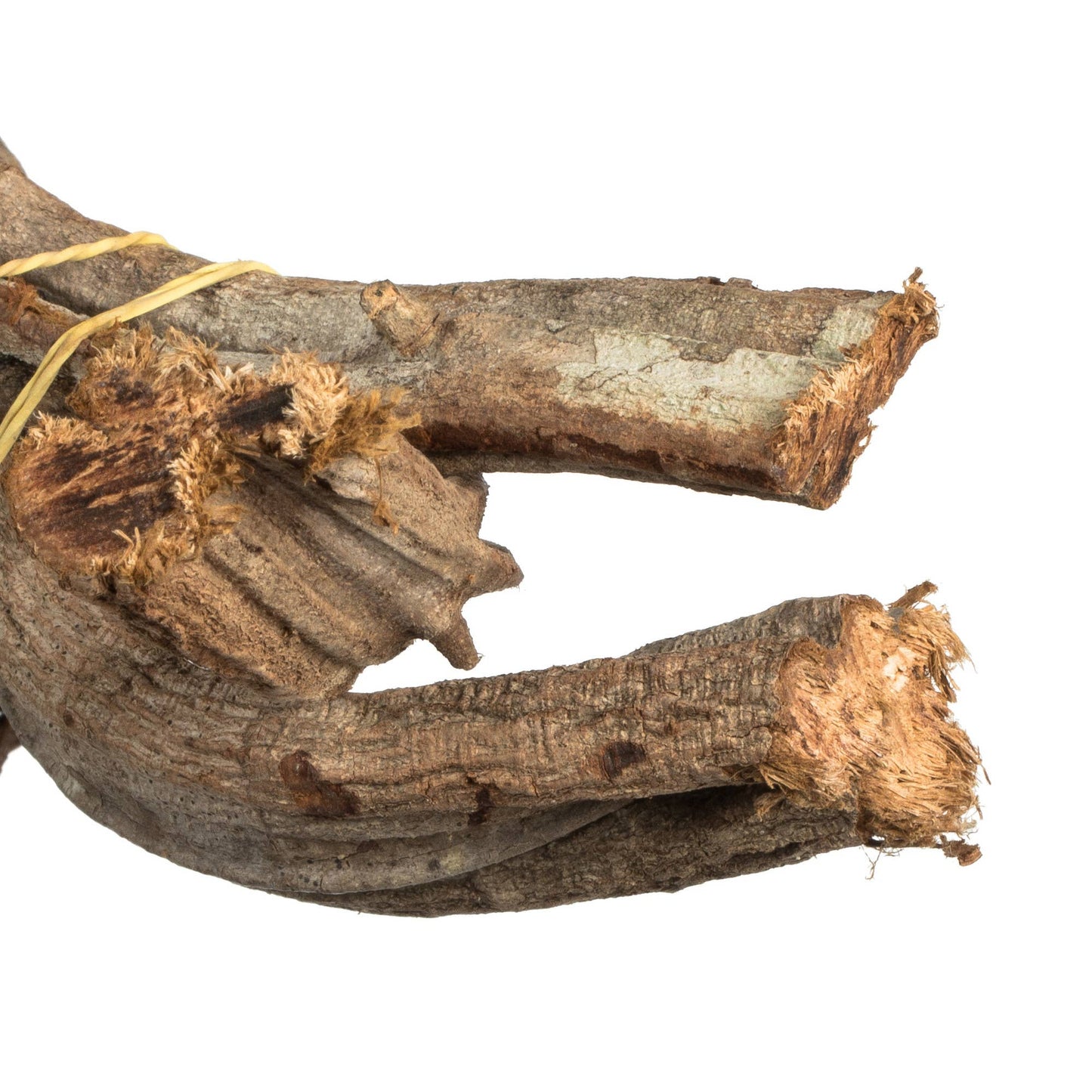 Natural Twisted Vine Bundle