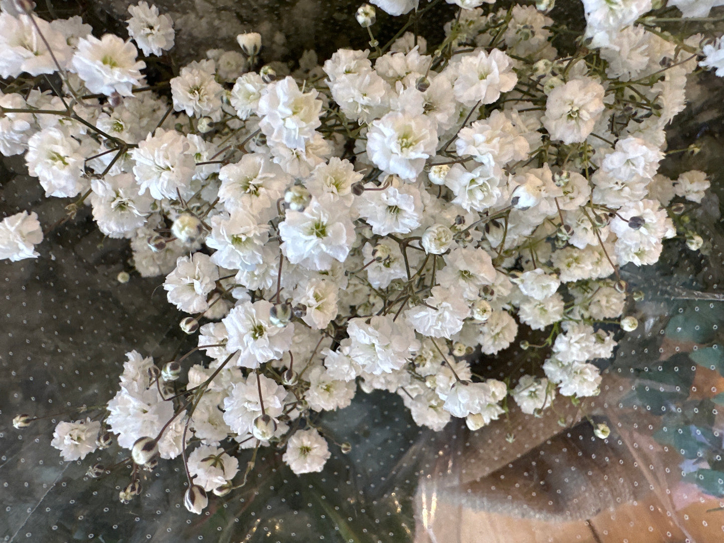 Baby Breath bunch
