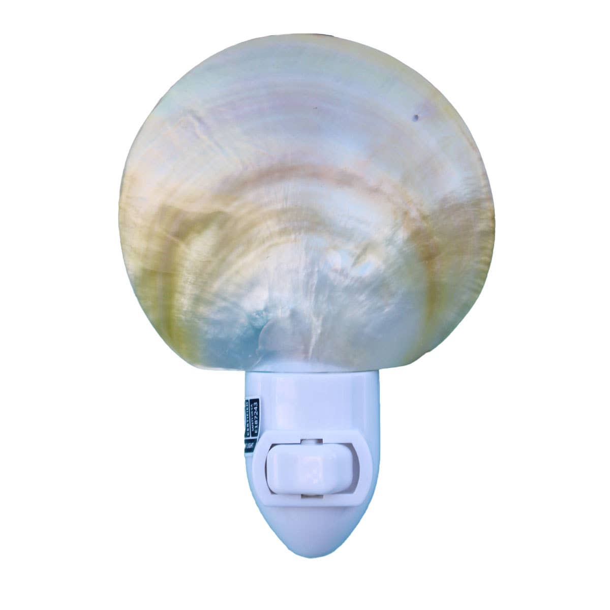 Gold Lip Mother of Pearl Seashell Night Light : Night Light Only