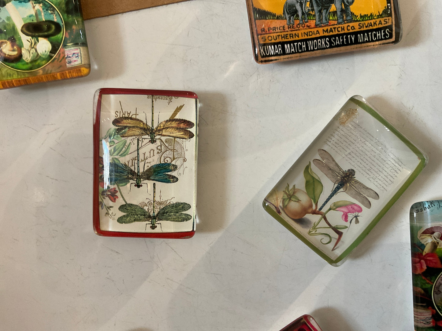 Vintage Dragonfly Glass Magnet