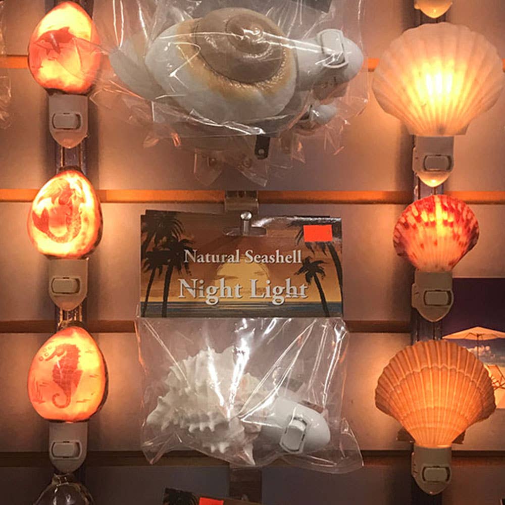 Mother of Pearl Seashell Night Light: Bagged with Header Card / 3-4"
