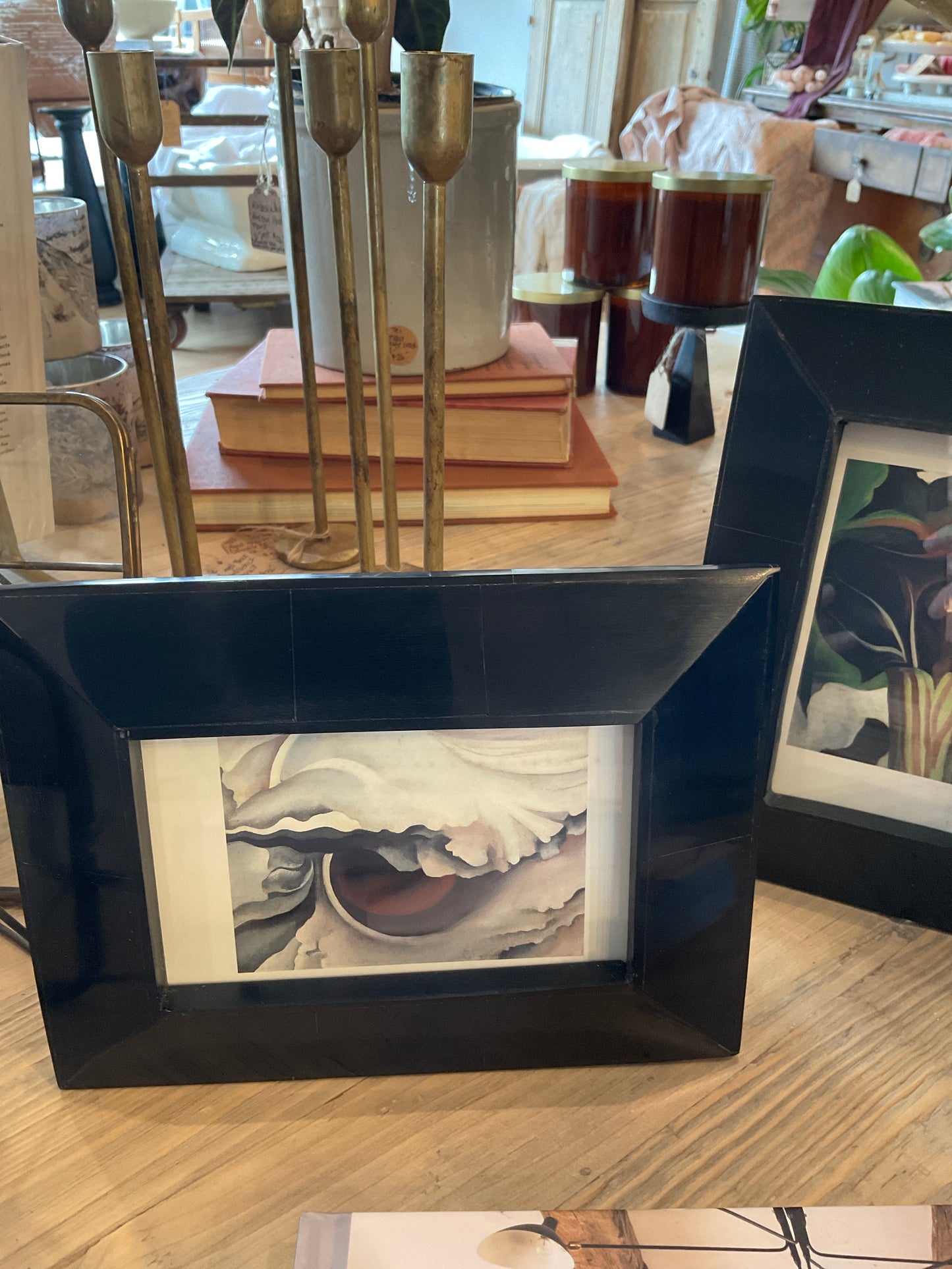 4X6" Horn Wide Frame