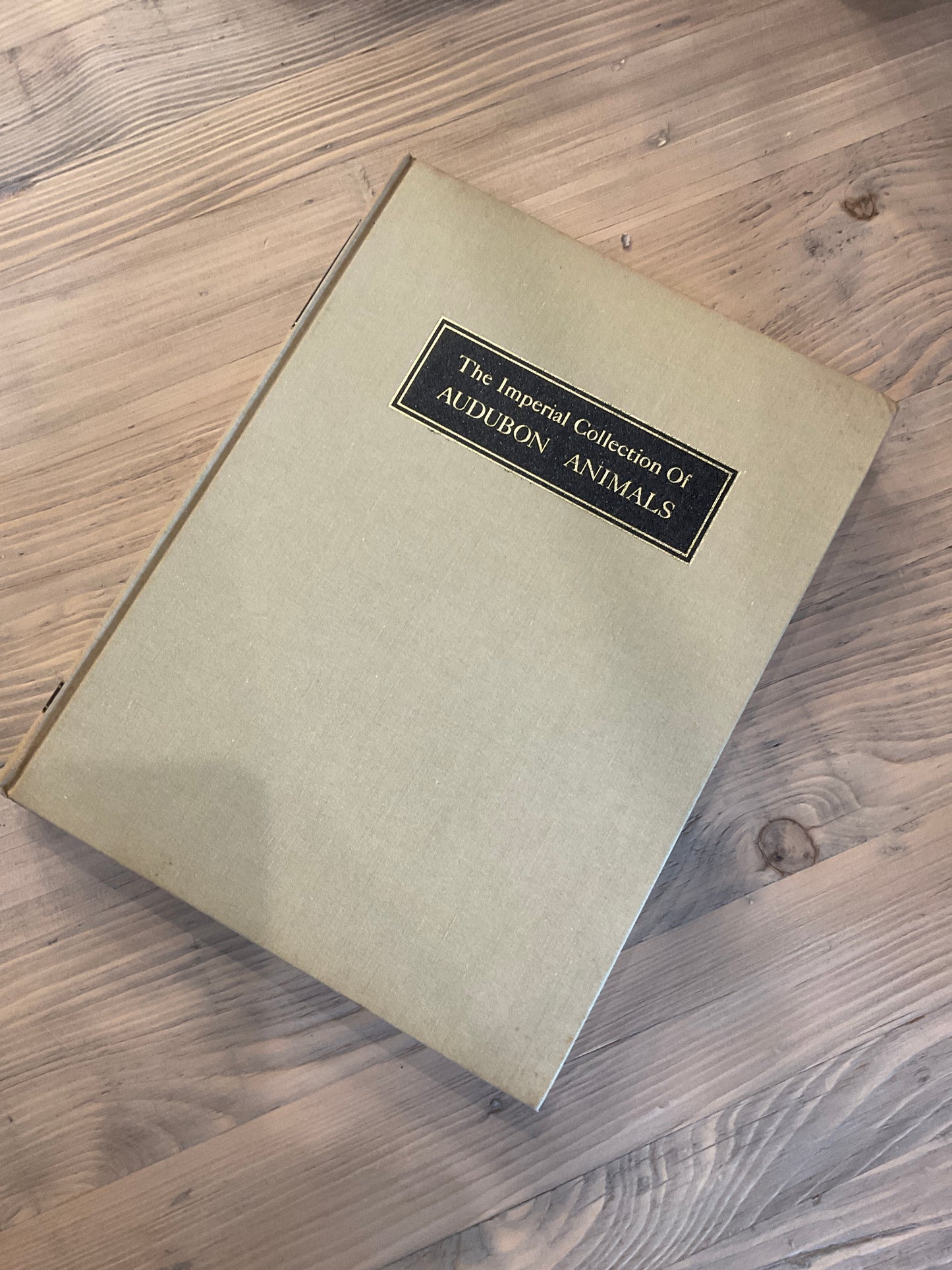 The Imperial Collection of Audubon Animals