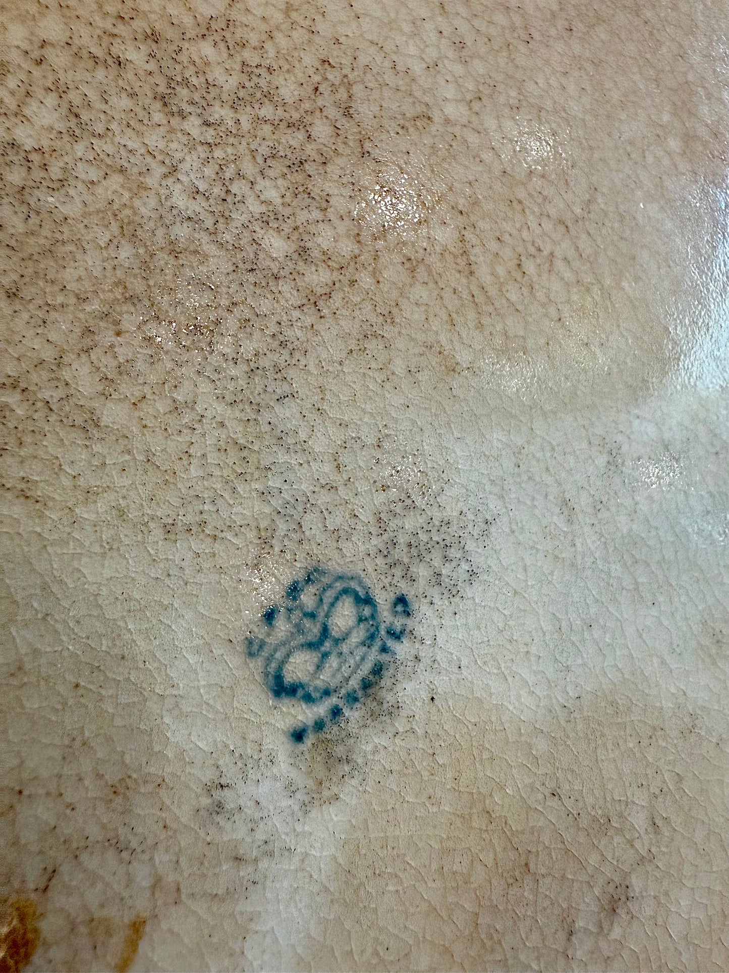 Antique Ironstone Platter