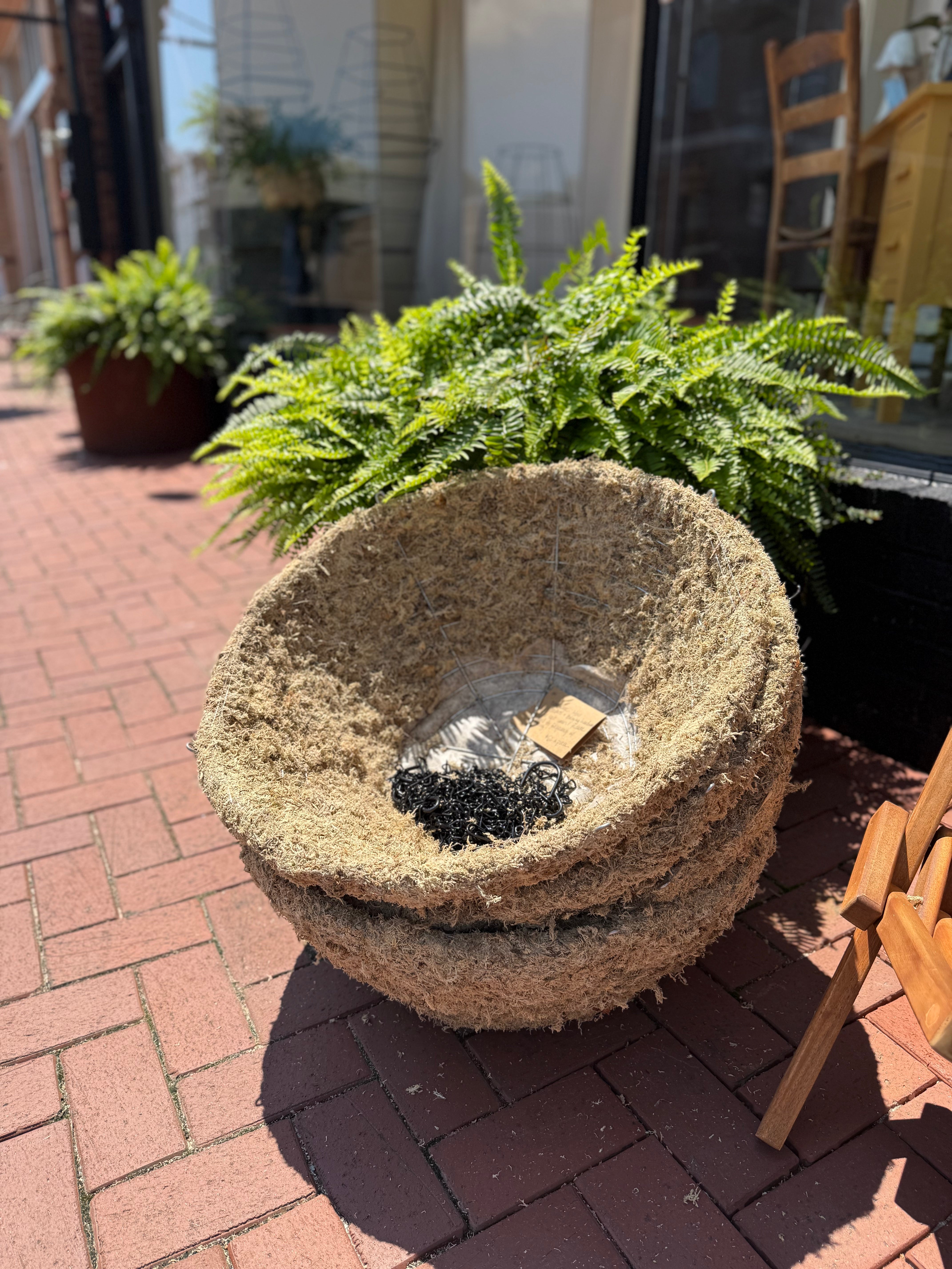 hanging moss basket planter Hanging Sphagnum Moss Basket Planter – Tar River Interiors
