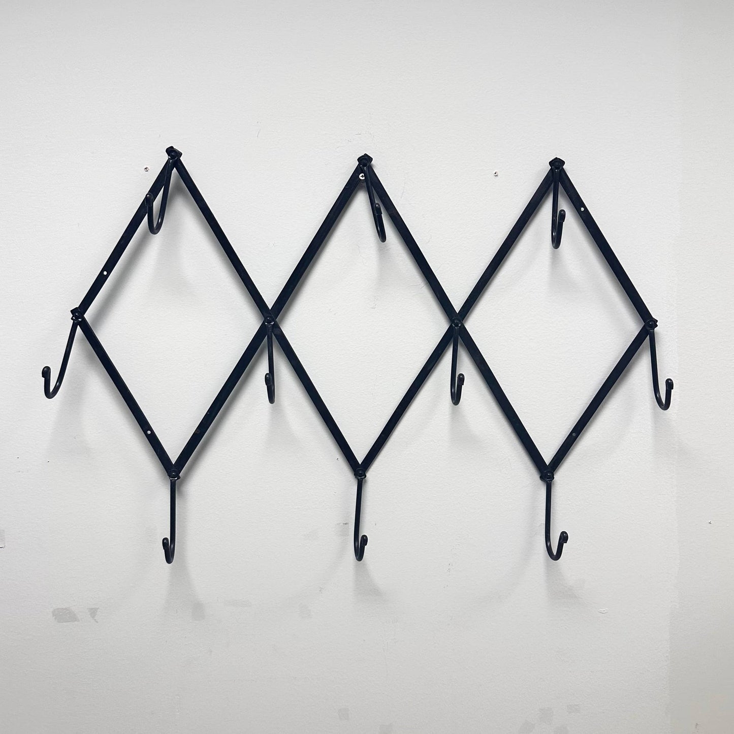 Foldable Wall Rack with 10 Swivel Hooks