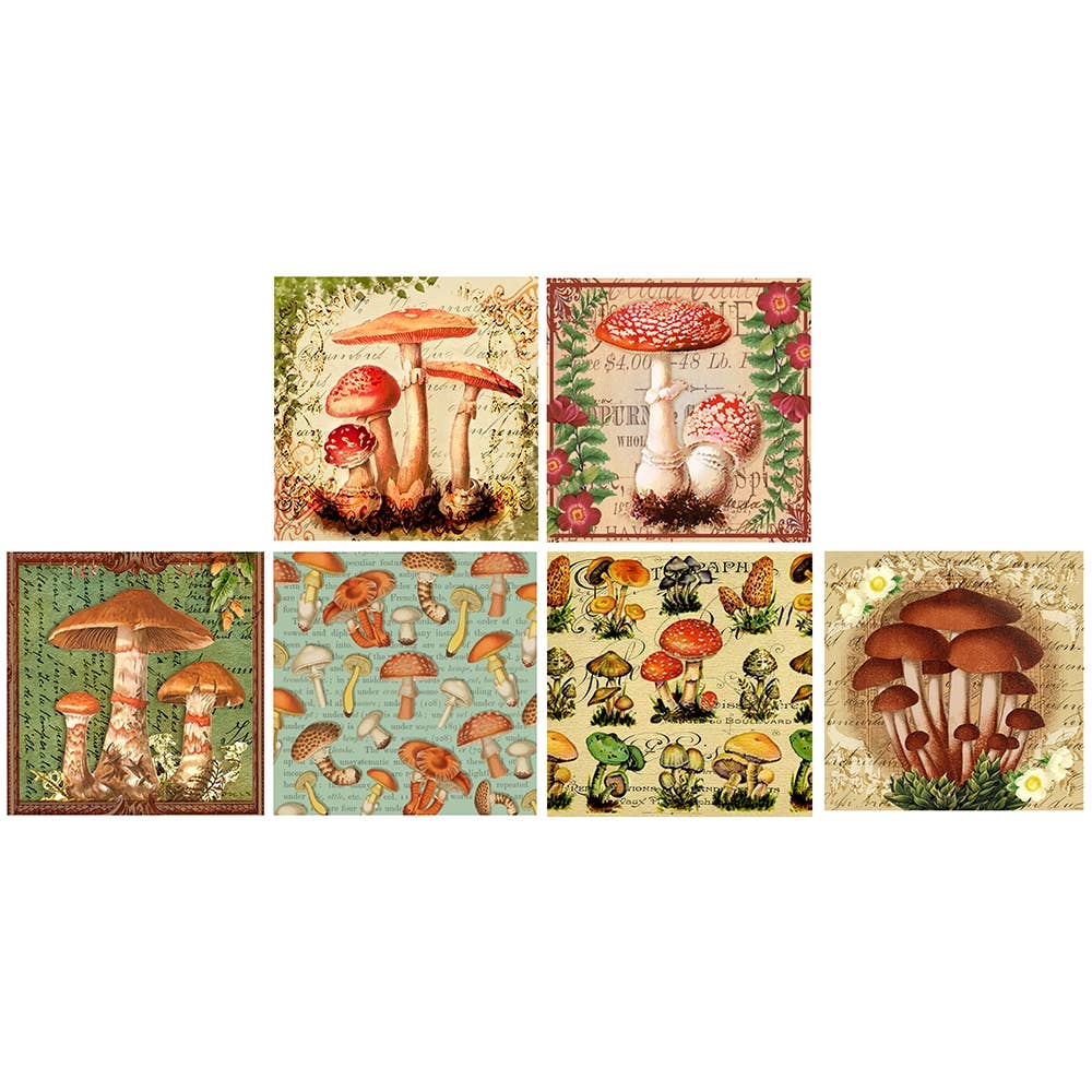 Vintage Mushrooms Square Matchbox