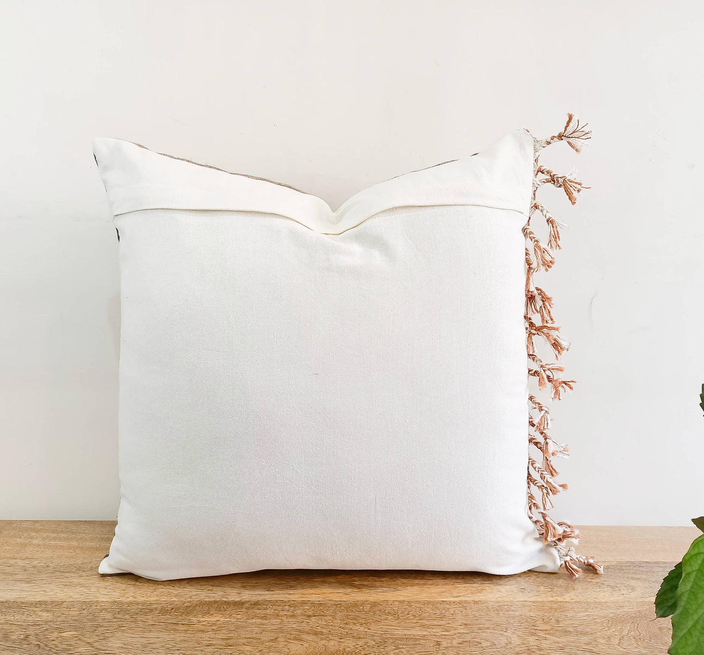 Sabra throw pillow