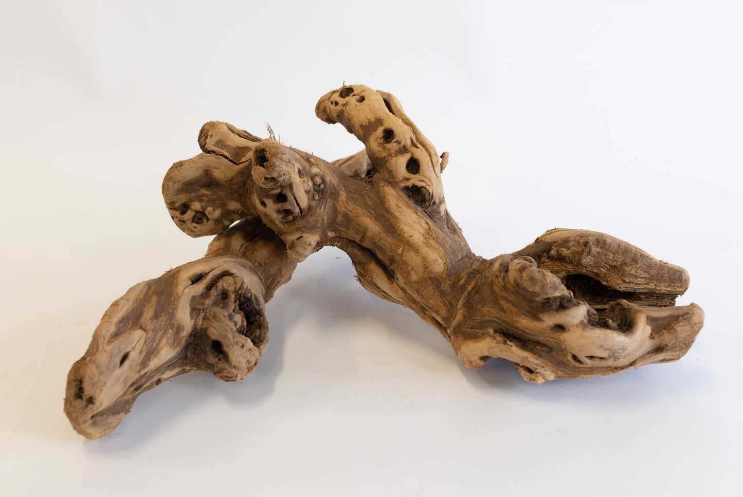Tumbled Grapewood Logs