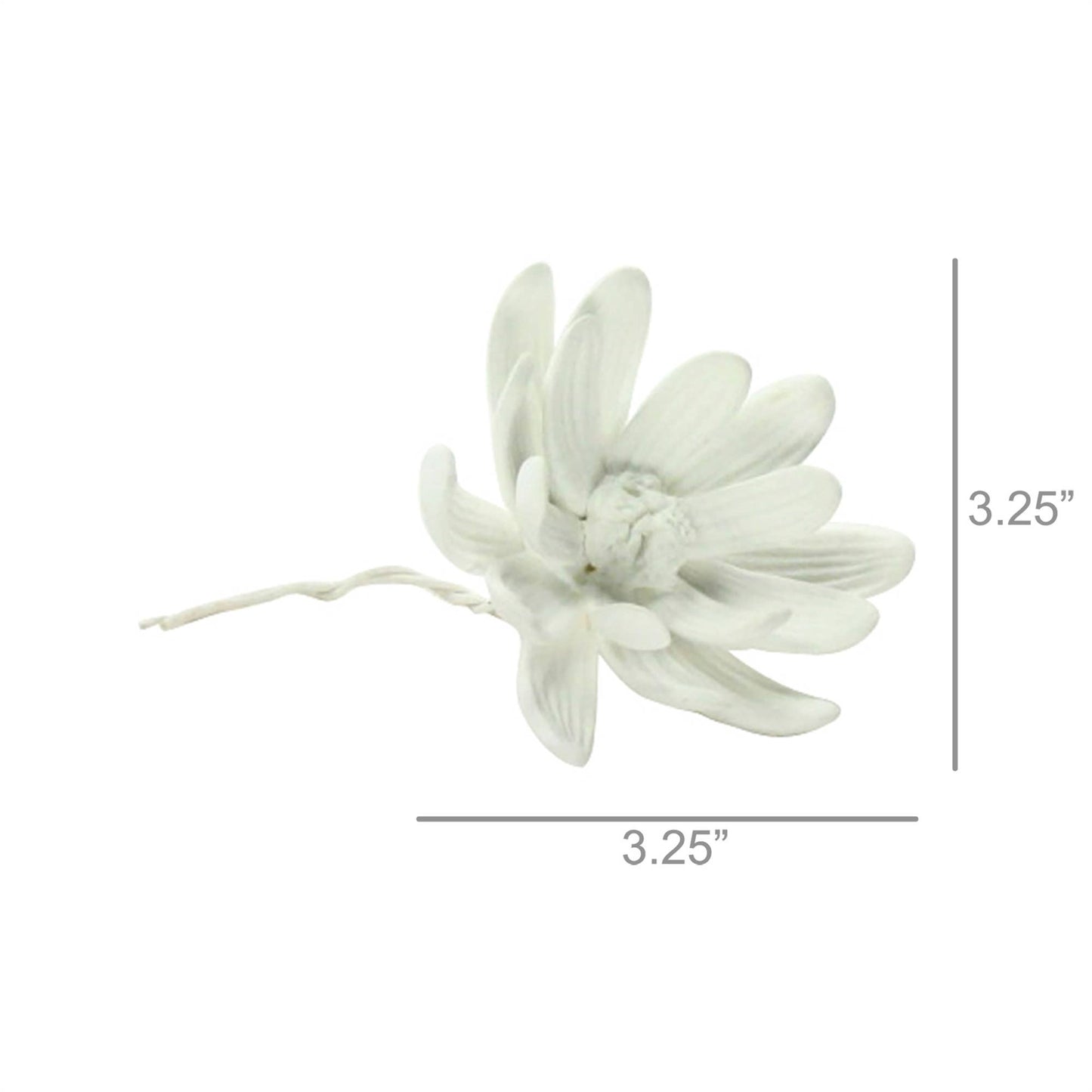 Bone China Curled Magnolia Flower