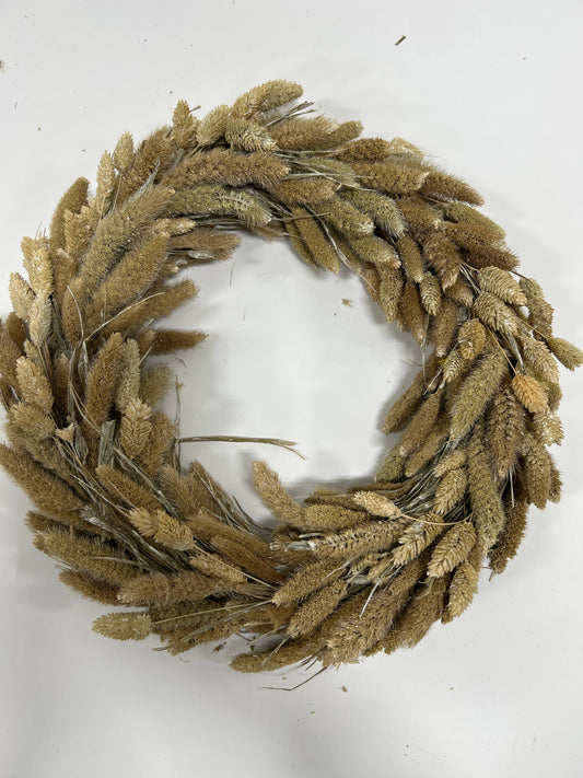 Natural Preserved Seteria Wreath: 16 Inches