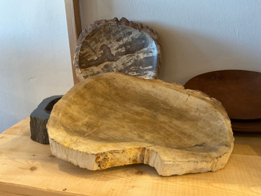 12” Petrified Wood Bowl