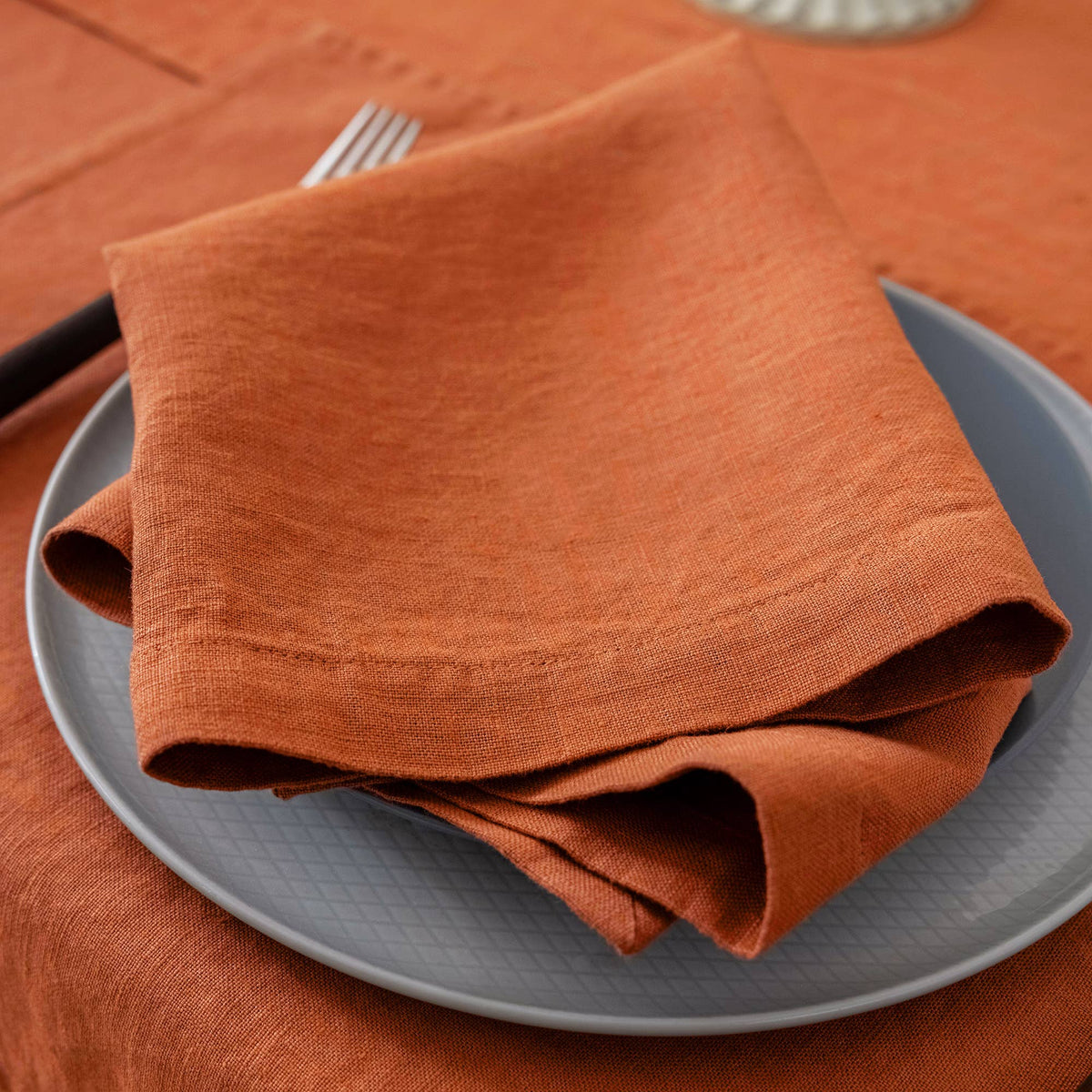 100% Linen Napkins (Set of 4) - 20'' x 20'' -