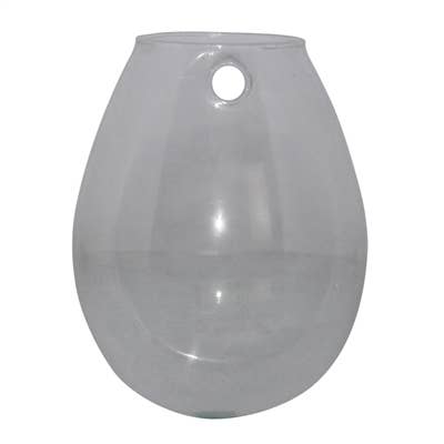 Sole Wall Terrarium, Glass - Sm