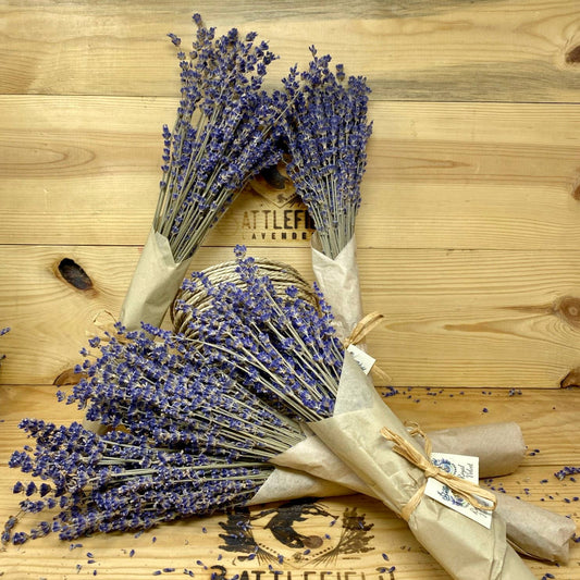 Royal Velvet Dried English Lavender Bundle Décor Bunch