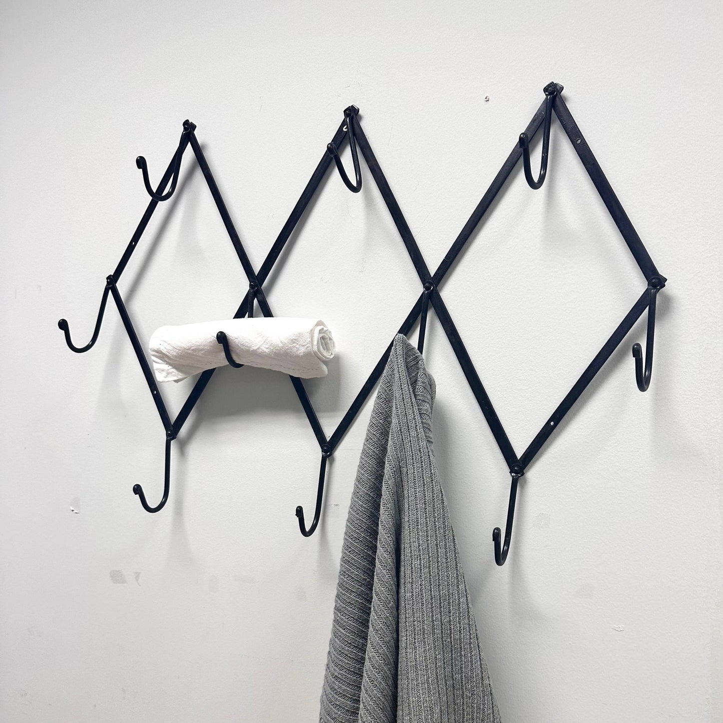 Foldable Wall Rack with 10 Swivel Hooks