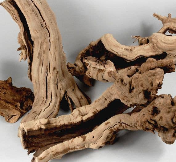 Tumbled Grapewood Logs