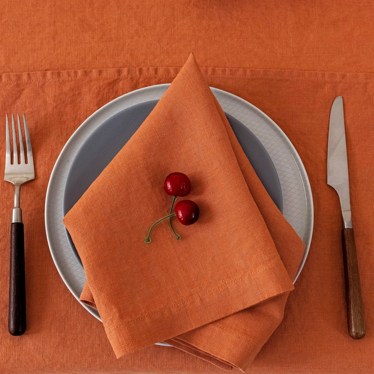 100% Linen Napkins (Set of 4) - 20'' x 20'' -