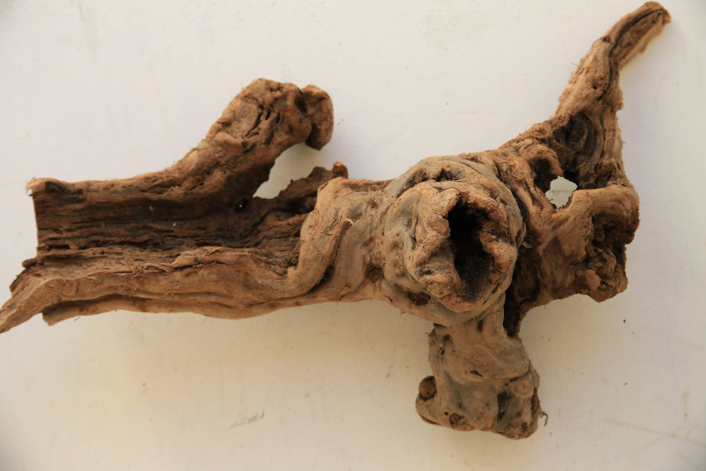Tumbled Grapewood Logs