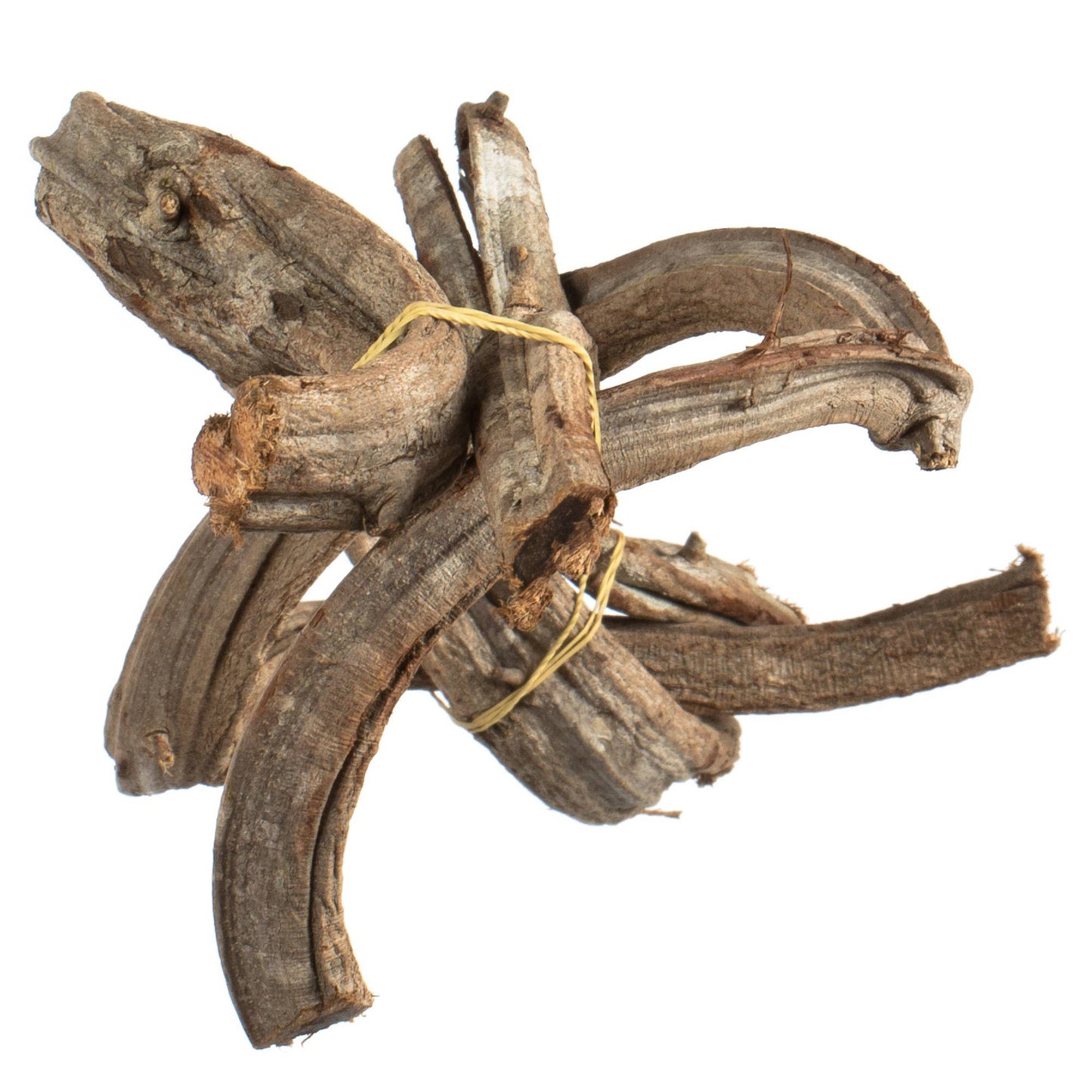 Natural Twisted Vine Bundle