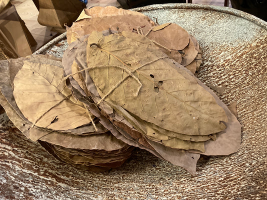 Dried Catappa Leaves (bunch)