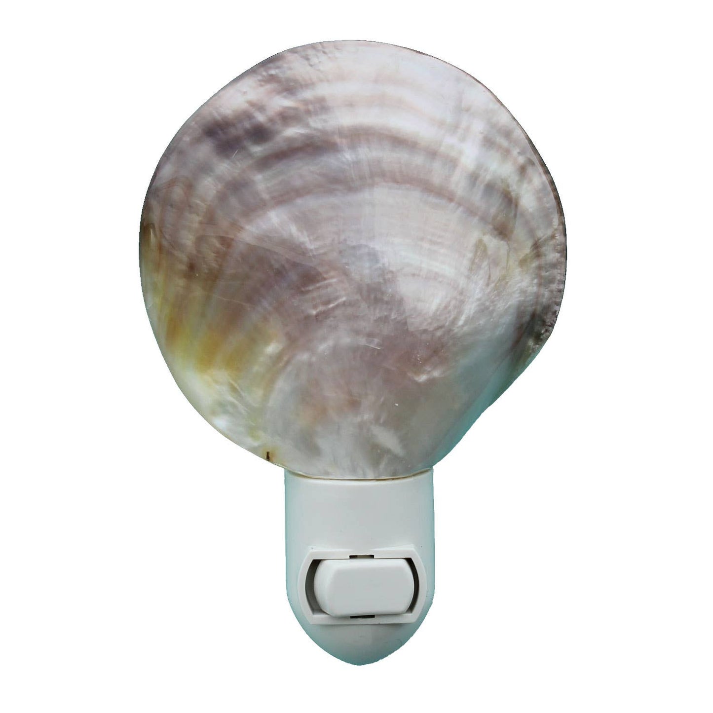 Mother of Pearl Seashell Night Light: Bagged with Header Card / 3-4"