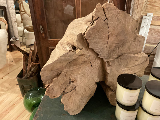 Cedar Stump
