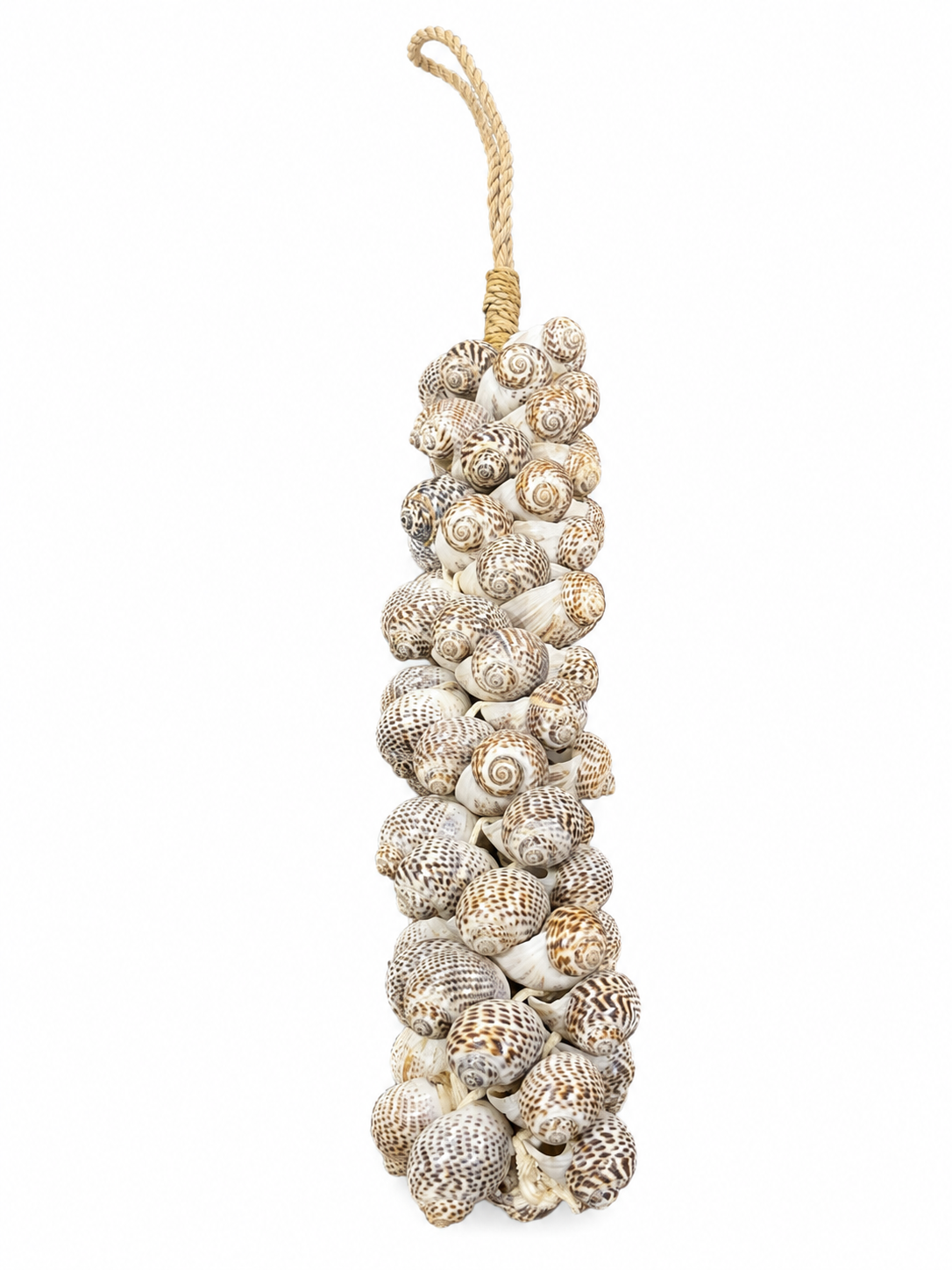 Natural Spotted Seashell Cluster