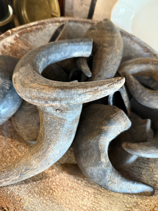 Small Water Buffalo Horn