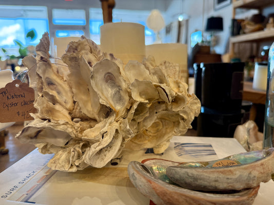 Oyster Cluster