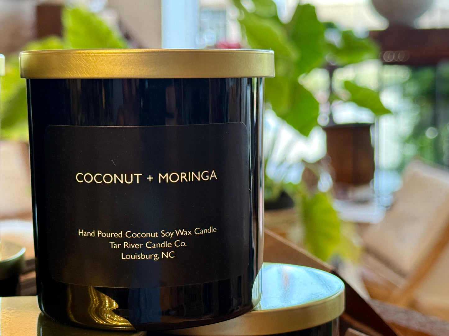 Coconut + Moringa