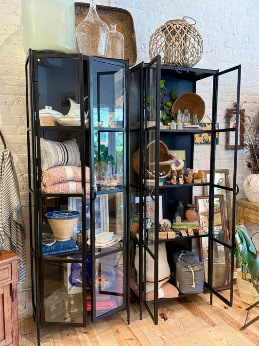 Sleek Modern Framed Glass Cabinet