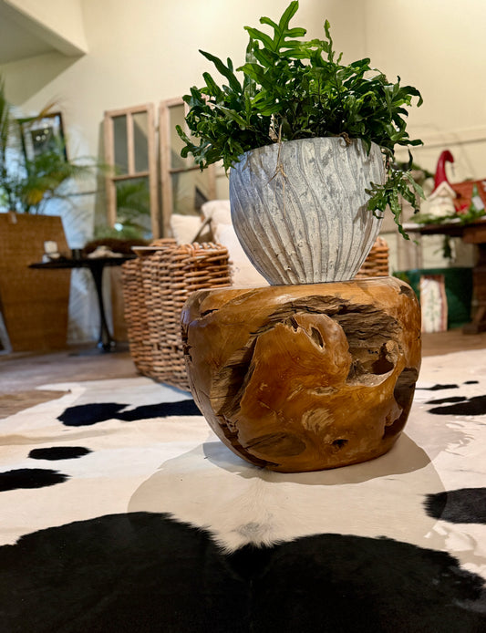 Burl Coffee / End Table