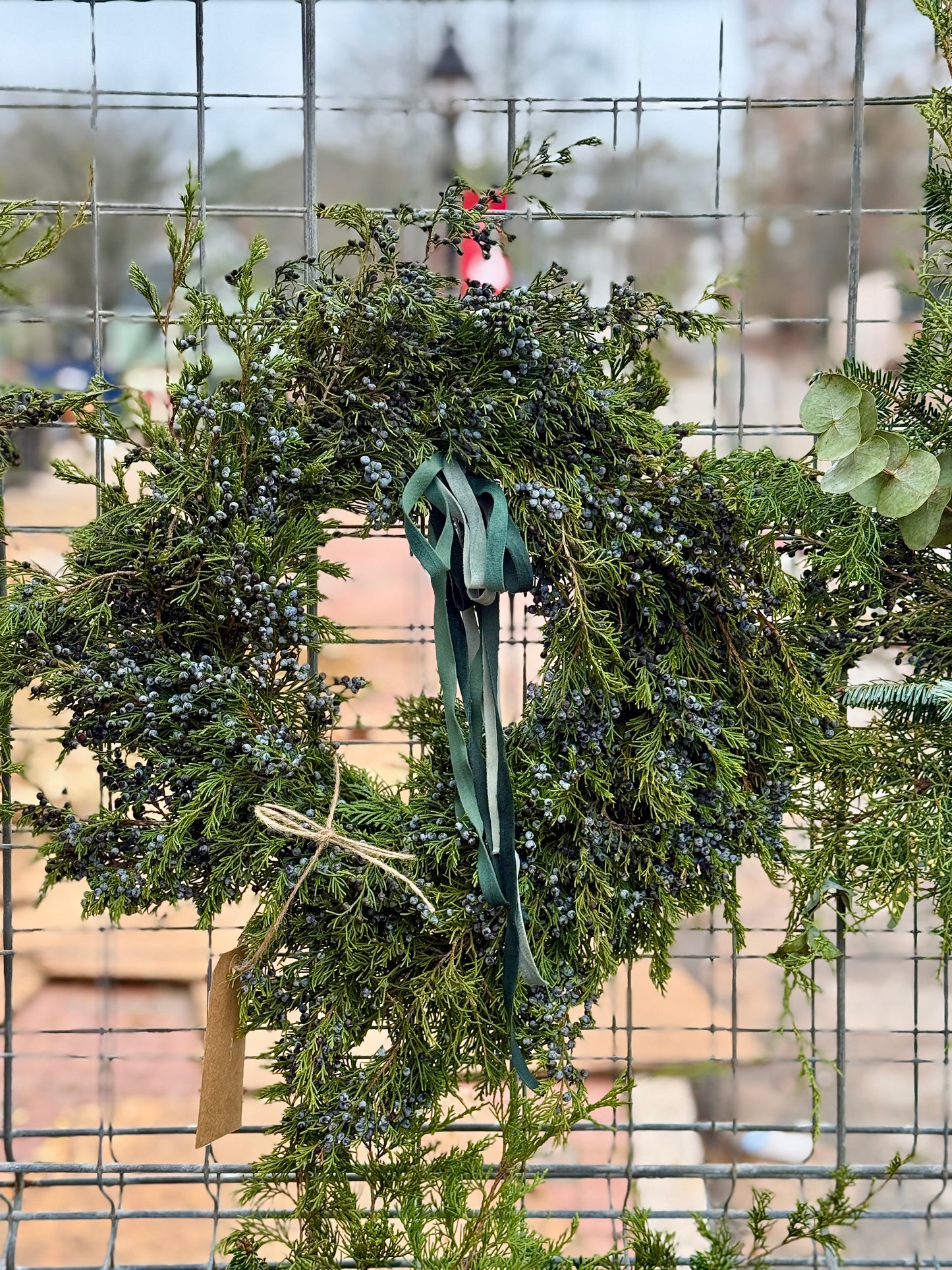 Christmas Wreaths