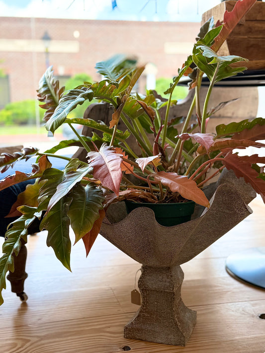 Kerchief Planter with base