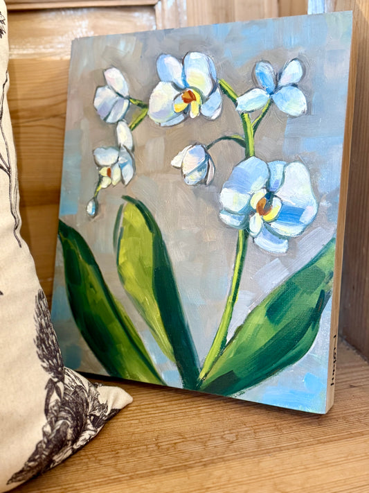 Orchid - Pat Hinton