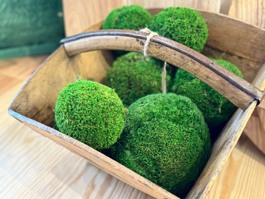 Preserved Moss Balls