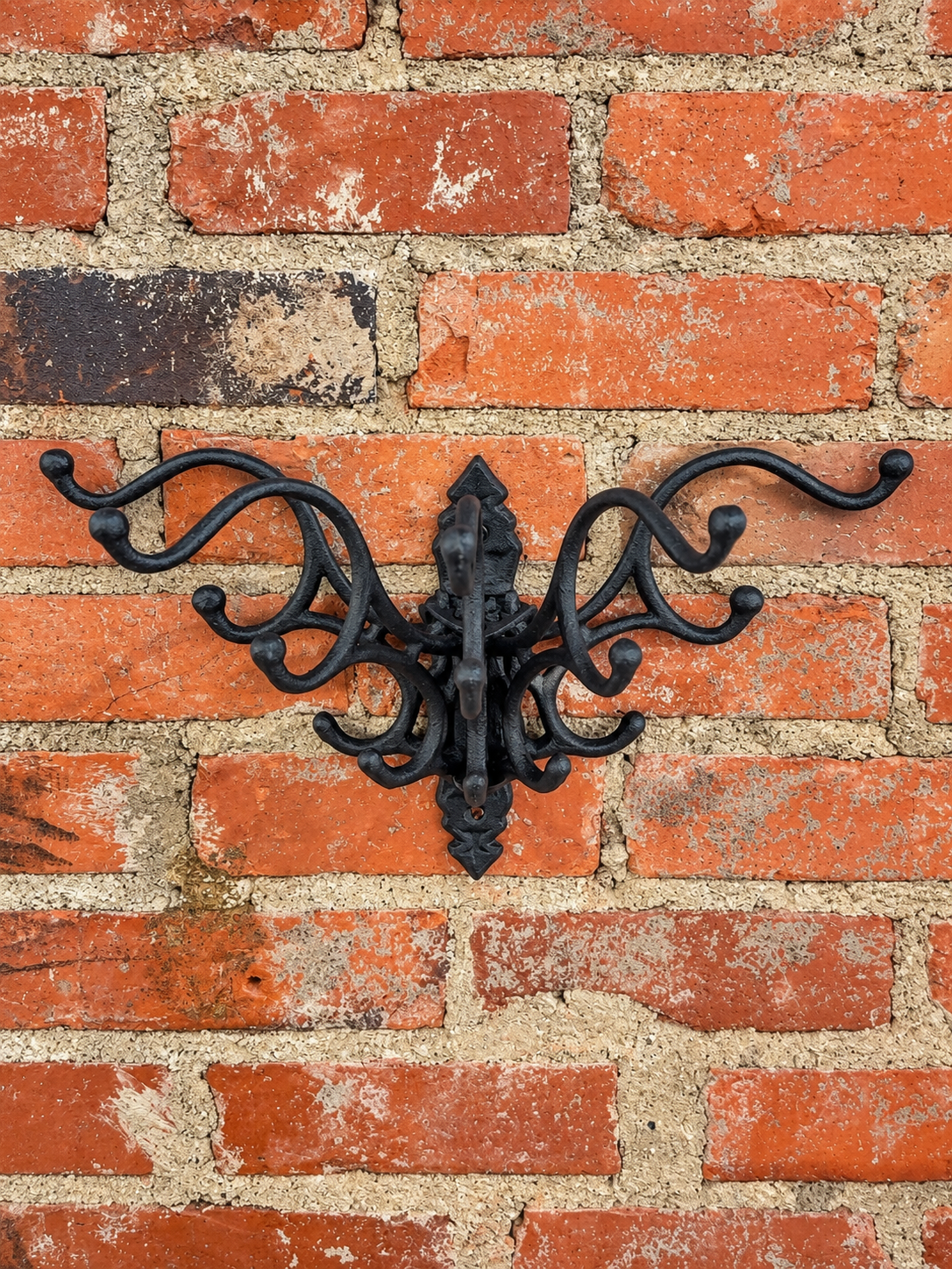 Ornate Metal Wall Hook Rack