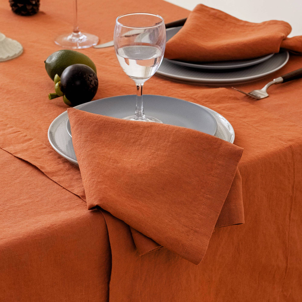 100% Linen Napkins (Set of 4) - 20'' x 20'' -