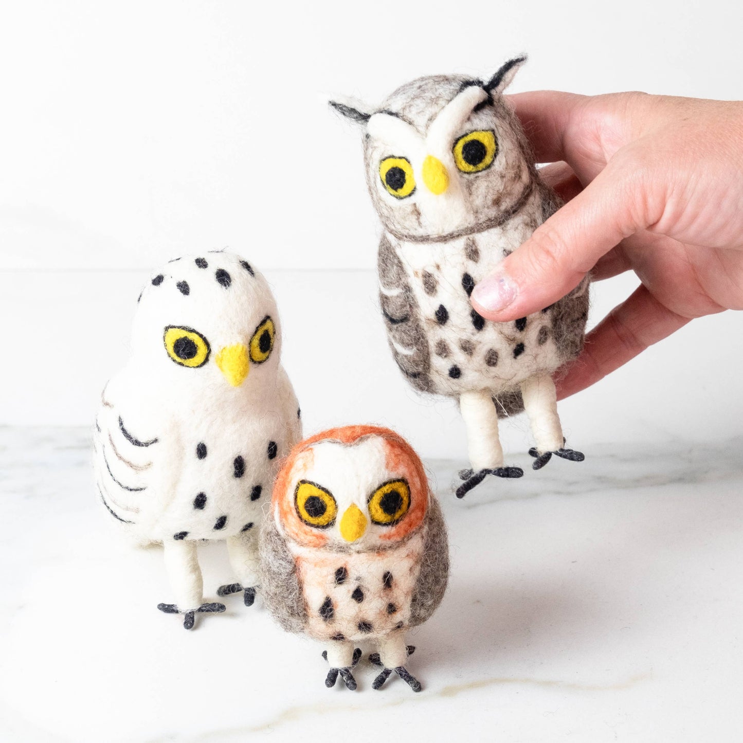 Owls