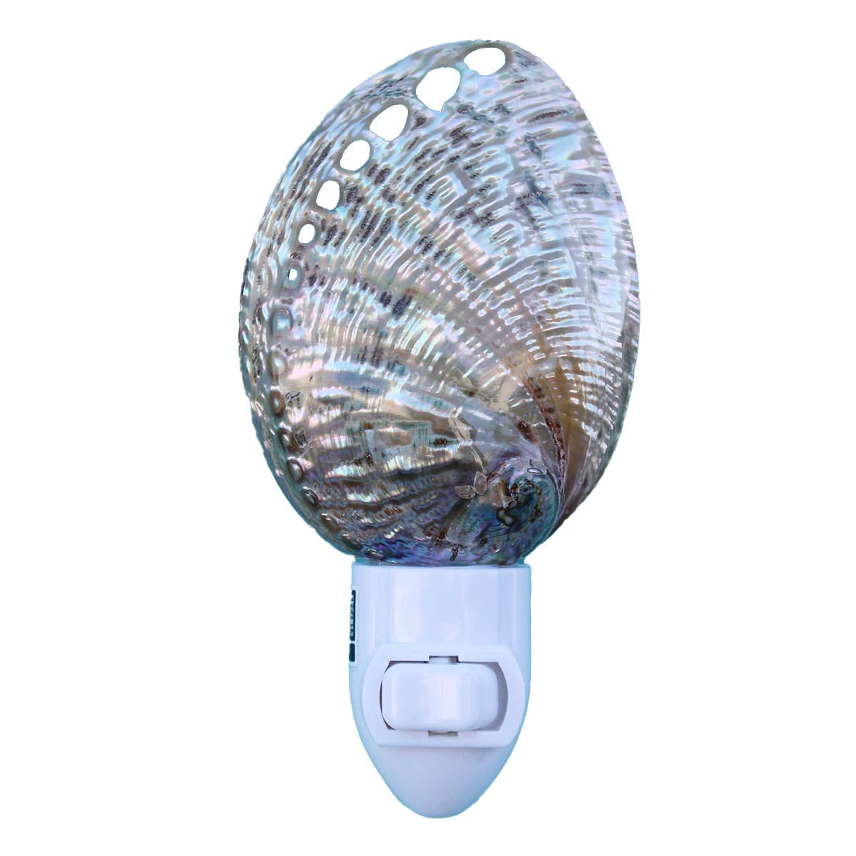 Polished Green Abalone Seashell Night Light: 2.75"-3.25"