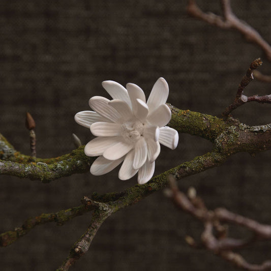 Bone China Curled Magnolia Flower