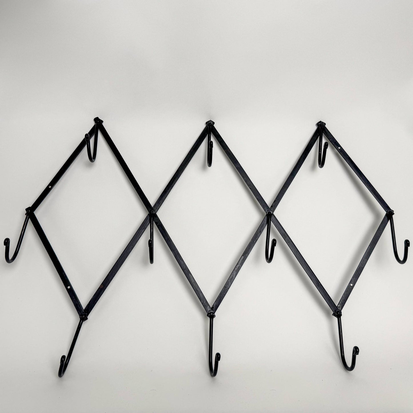 Foldable Wall Rack with 10 Swivel Hooks
