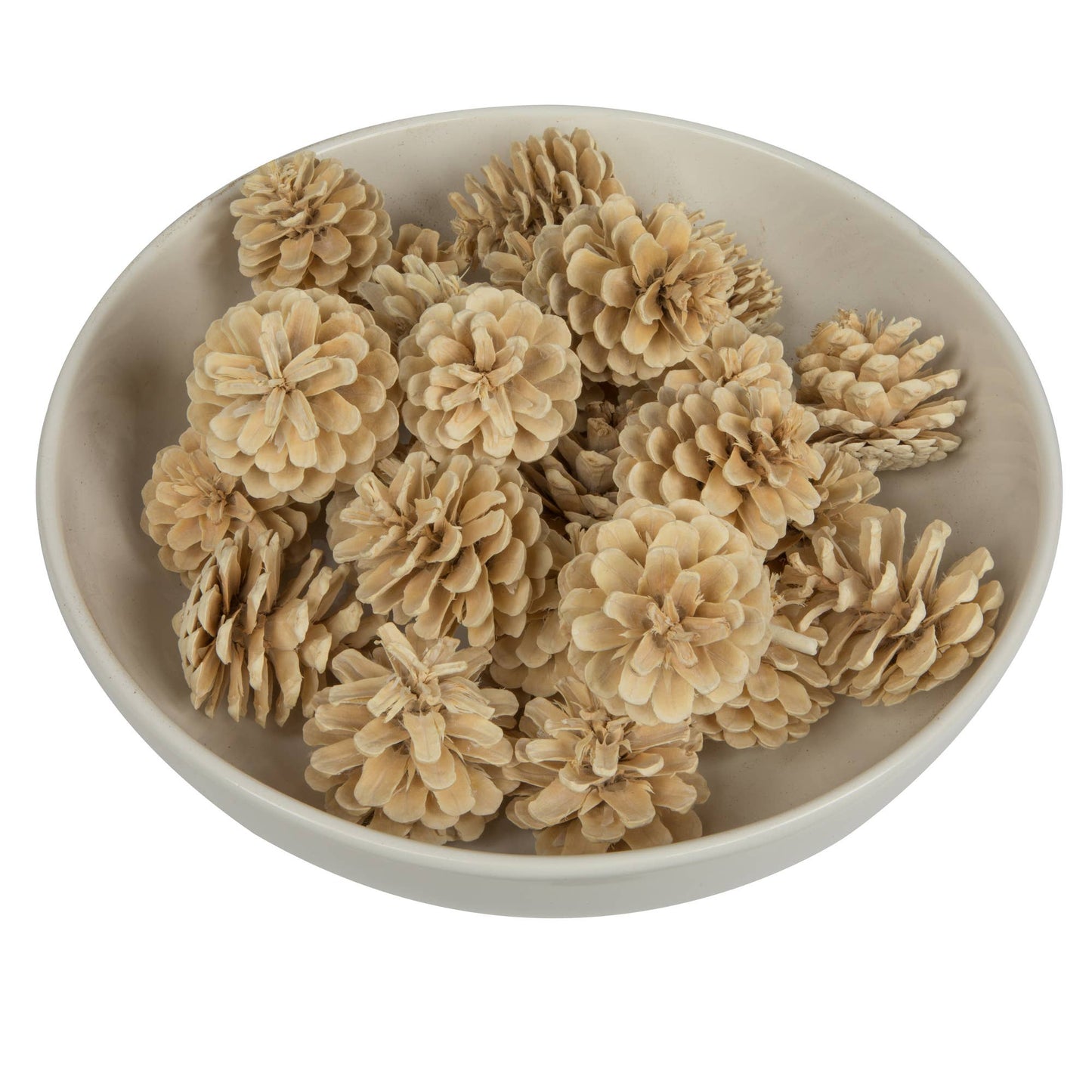 2" Blue Pine Bleached Bleached