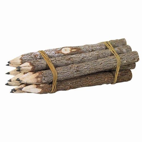 BPN3M - Branch Graphite Pencil Bundle (144pcs)