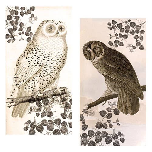 ANN330 - Vintage Owl Large Matchbox